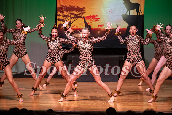 Lion King-102