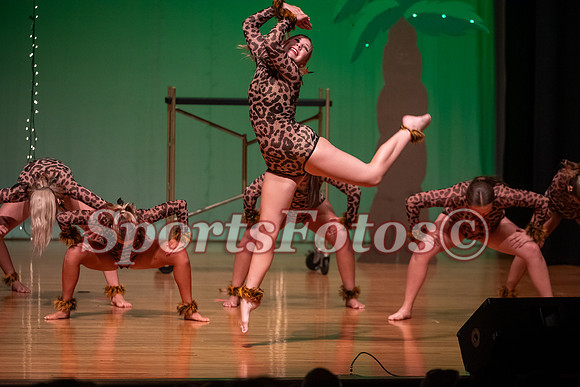 Lion King-112