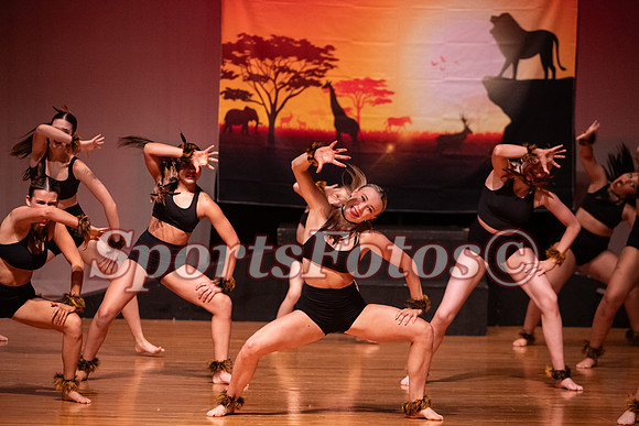 Lion King-110