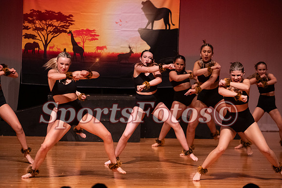 Lion King-108