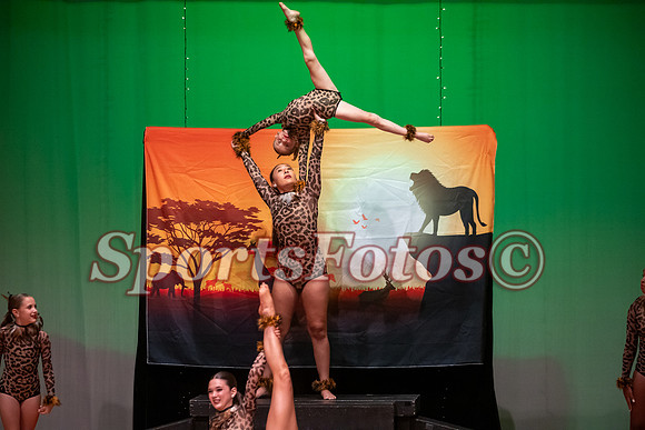Lion King-101