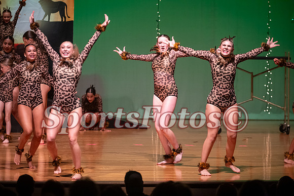 Lion King-108
