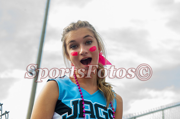 JFMS Cheer FB4-100