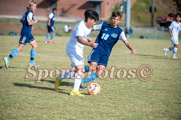 JFMS BSoc3-119