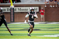 LR25 FB2 vs Newberry-110
