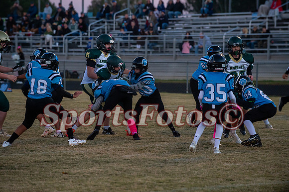 JFMS FB5-302