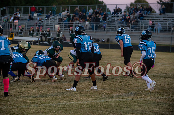 JFMS FB5-306