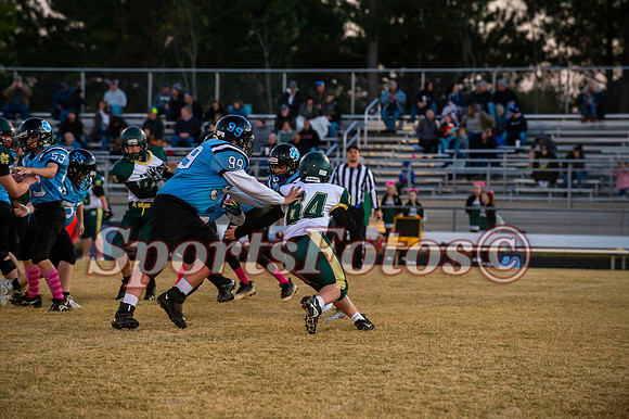 JFMS FB5-308