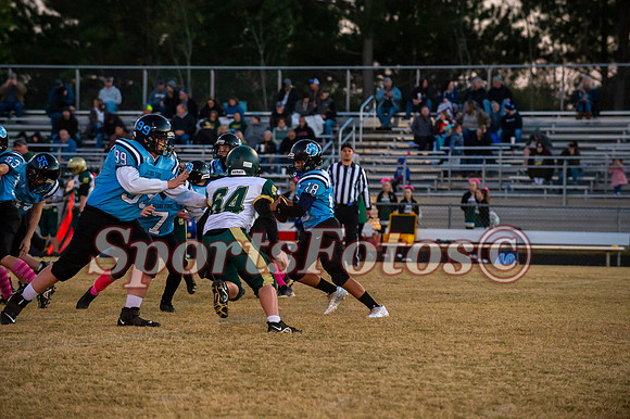 JFMS FB5-307