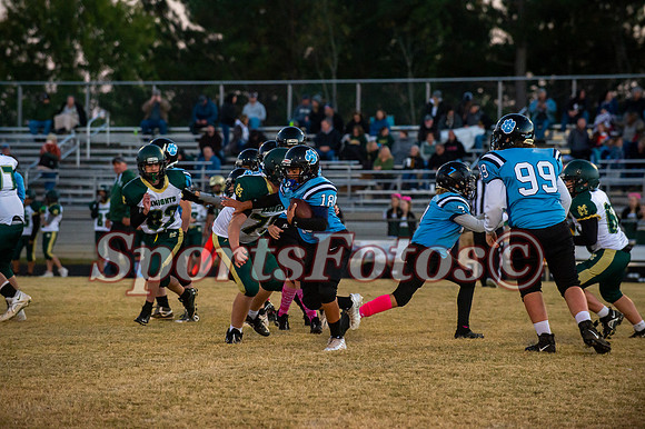 JFMS FB5-309