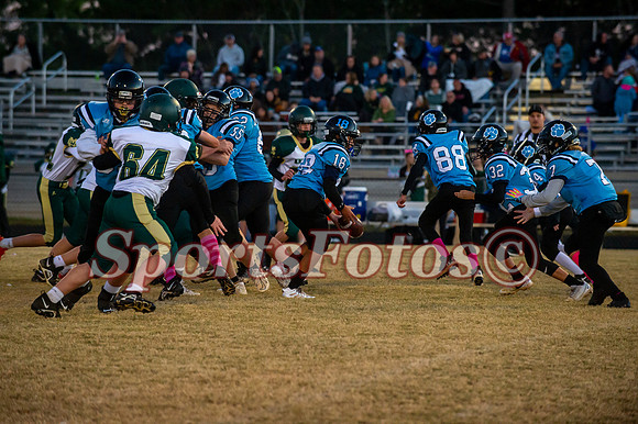 JFMS FB5-311