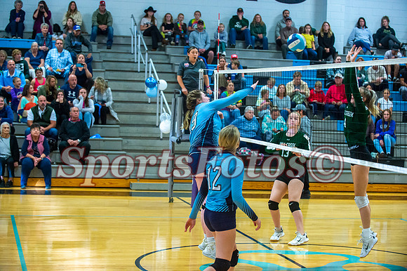 JFMS VB3-216