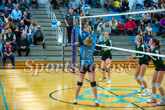 JFMS VB3-218