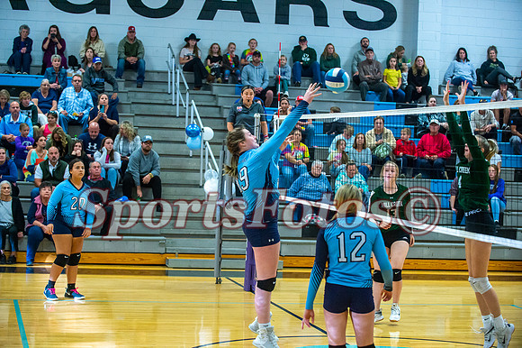 JFMS VB3-219