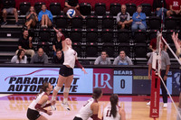 LR VB2 vs Wingate-109