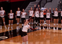 LR VB2 vs Wingate-118