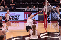LR VB2 vs Wingate-106
