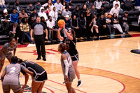 LR25 WBB1 vs Lander-110