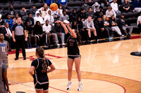 LR25 WBB1 vs Lander-116