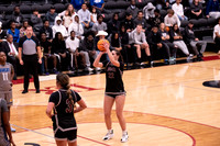 LR25 WBB1 vs Lander-115