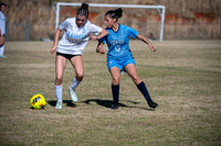 FTF26 JV Girls Soccer vs N Iredell -118