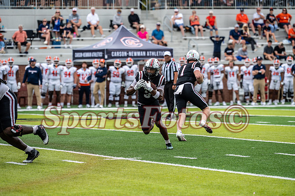LR26 FB4 vs Carson-Newman-111
