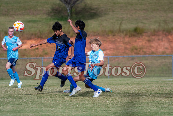 JFMS BSoc2-117