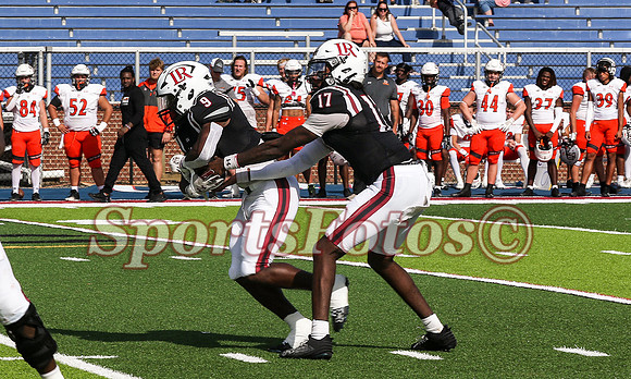 LR24 Cheer vs Tusculum-Rich-526