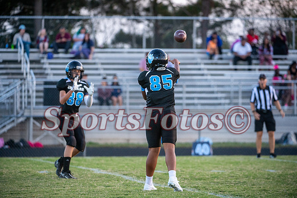 JFMS 5th Qtr FB2-119