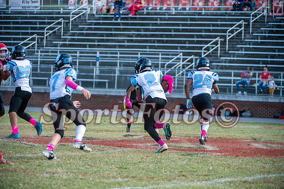 JFMS  FB3 vs Newton-113