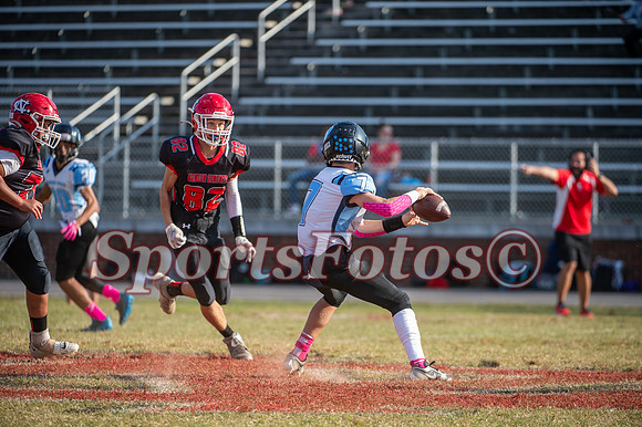 JFMS  FB3 vs Newton-117