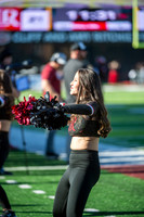 LR23 Spirit Team FB7-113