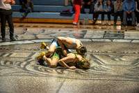 FTF Wrestling 1-195