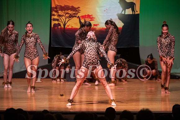 Lion King-109