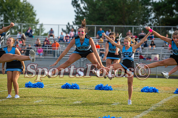JFMS FB3-295