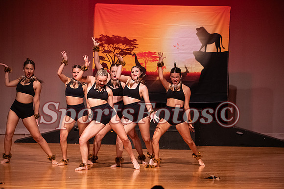Lion King-118