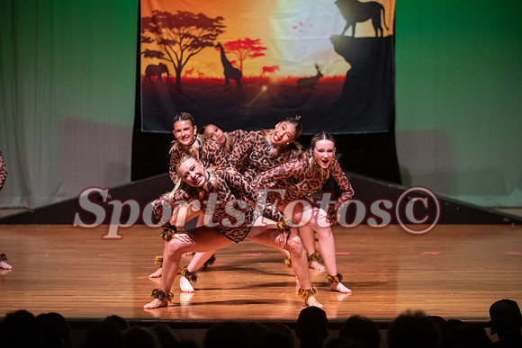 Lion King-105