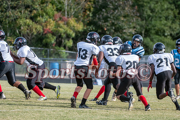 JFMS FB3-113