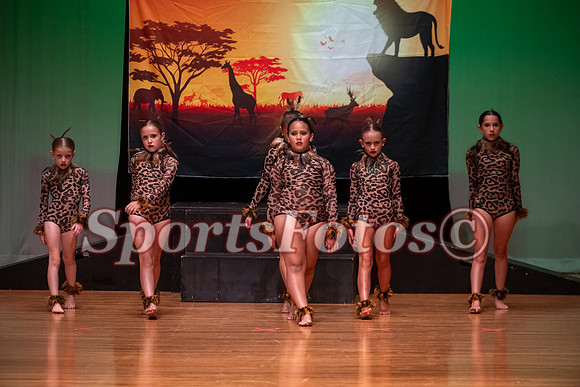 Lion King-110
