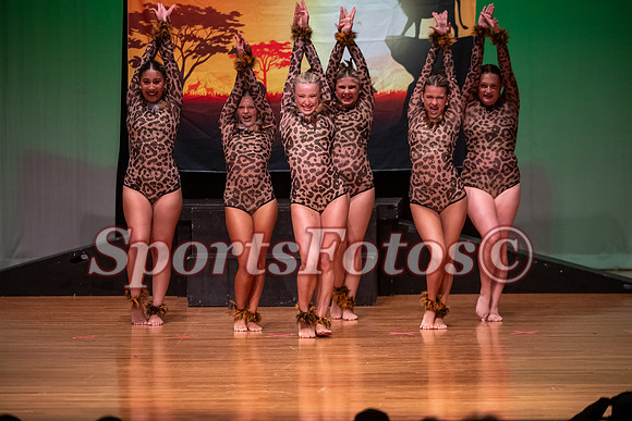 Lion King-117