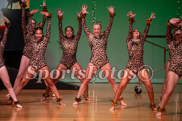 Lion King-111