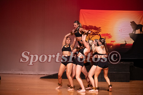 Lion King-119