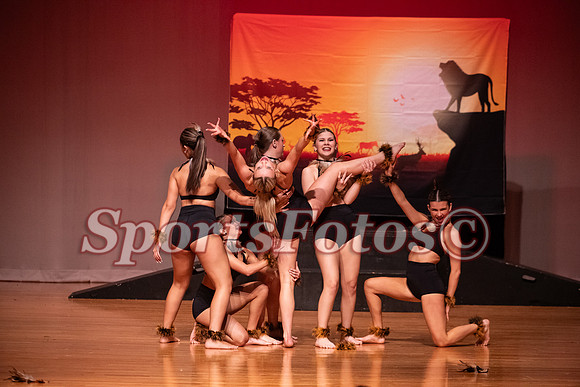 Lion King-117