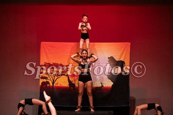 Lion King-100
