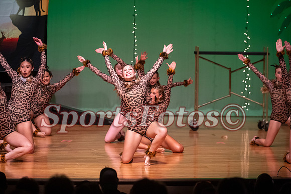 Lion King-104