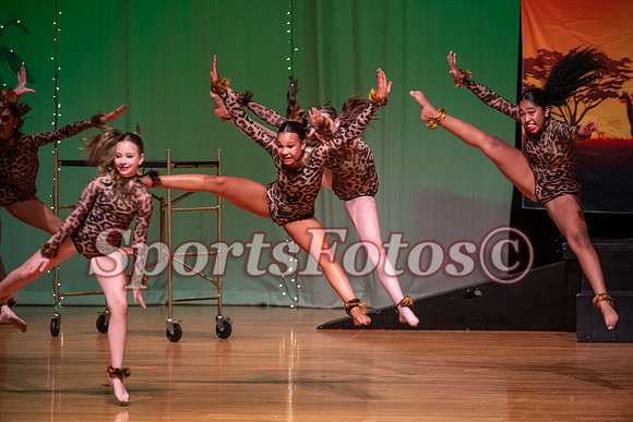 Lion King-113