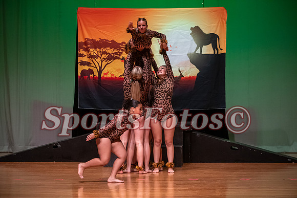 Lion King-115