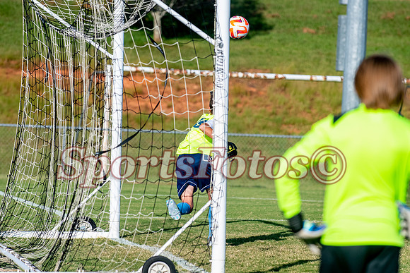JFMS BSoc1-113