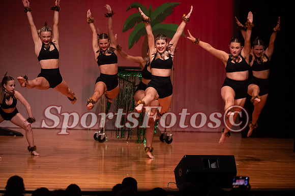 Lion King-113
