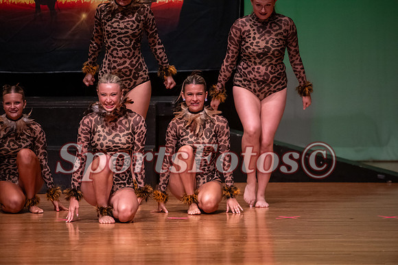 Lion King-116